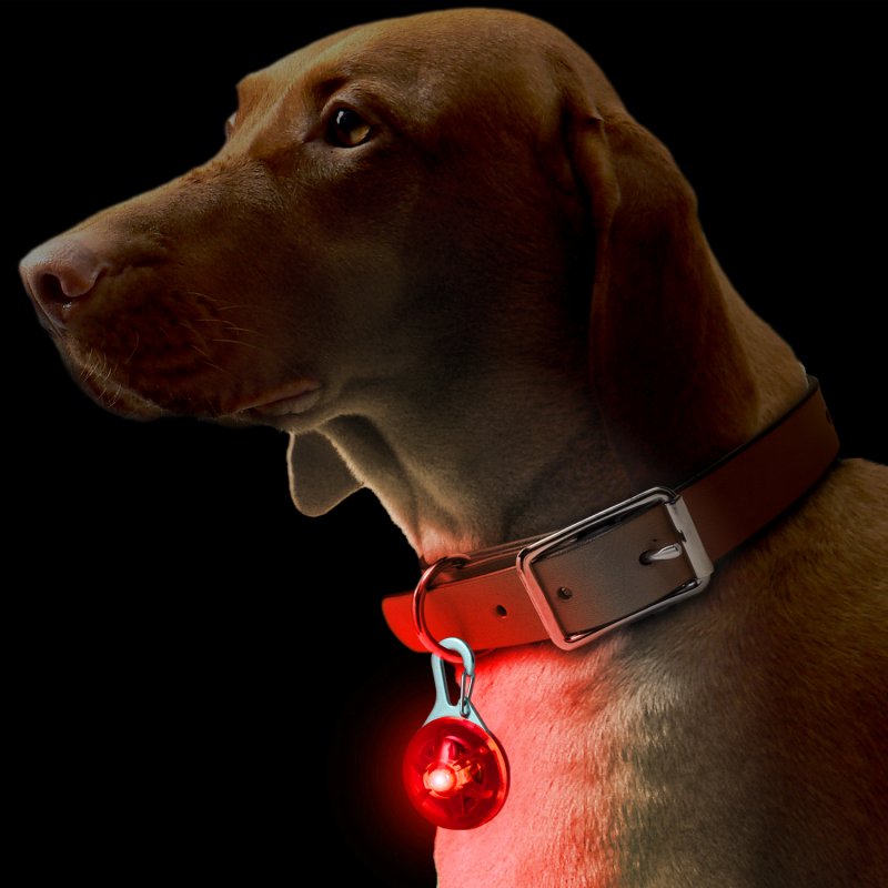 For Pet Owners